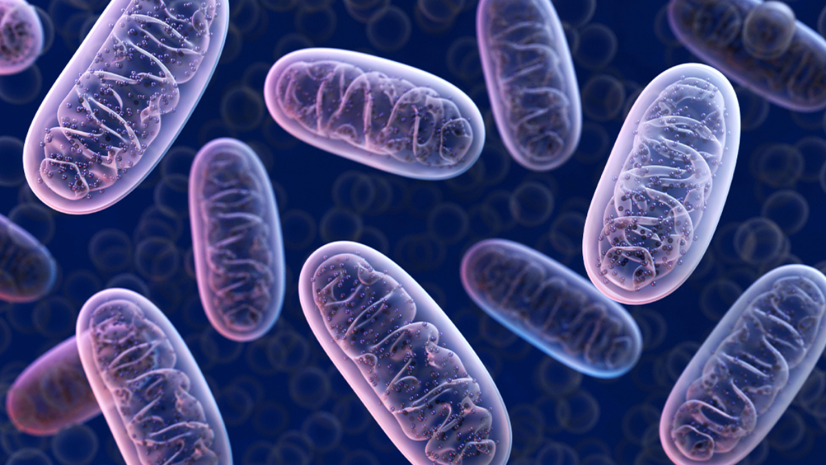 From Niche to Notable: Rare Diseases Reshape Biotech